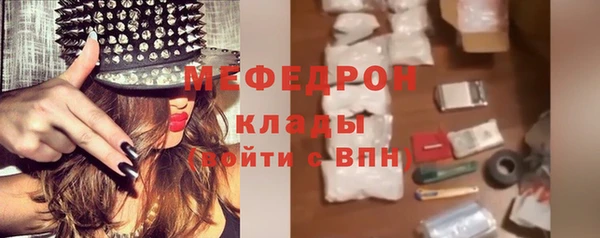 индика Тутаев