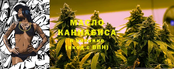 индика Тутаев