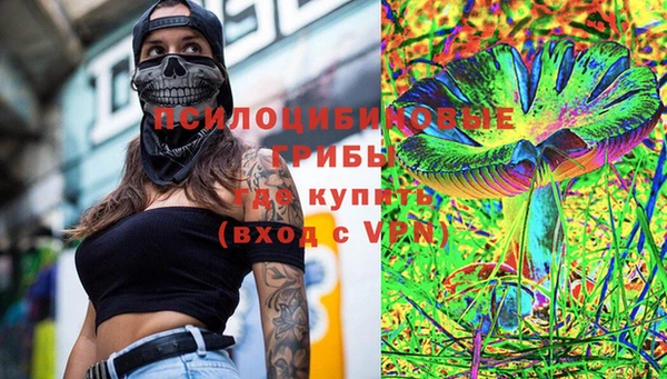 индика Тутаев