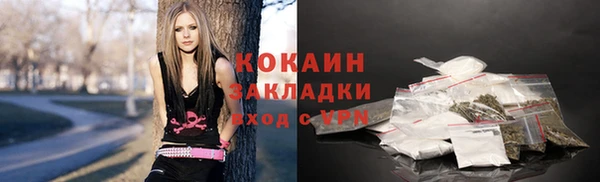 индика Тутаев