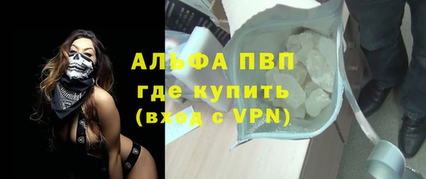 индика Тутаев