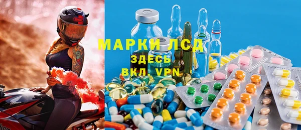 индика Тутаев