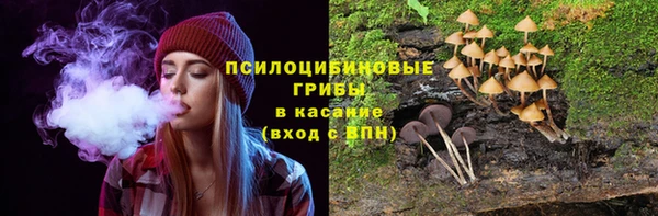 прущий лед Тында