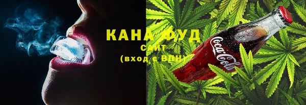 индика Тутаев