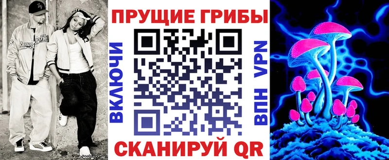 Псилоцибиновые грибы Cubensis  как найти закладки  MEGA зеркало  Шахунья 